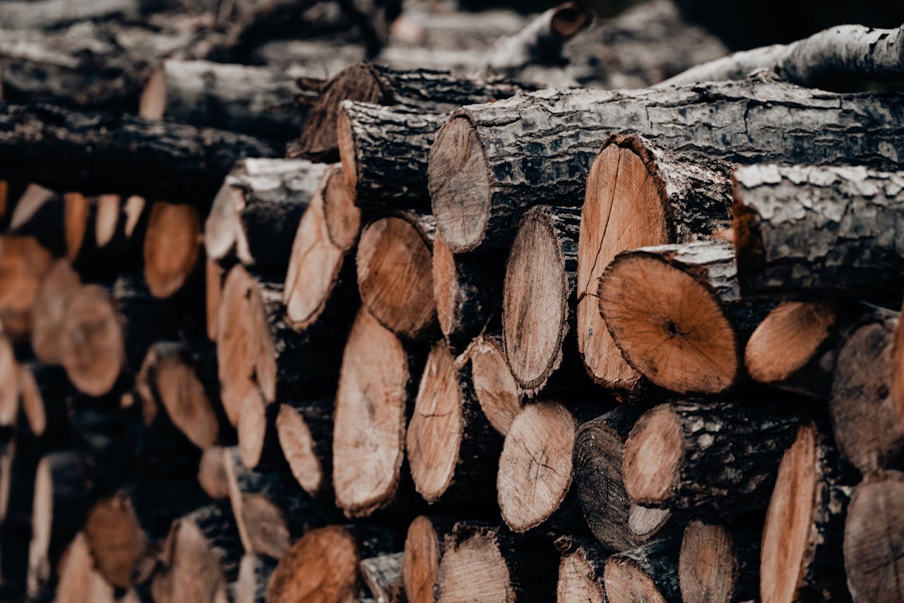 Close-up view of neatly piled wood logs, showcasing natural texture and color.